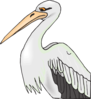 Pelican With Sharp Beak Clip Art